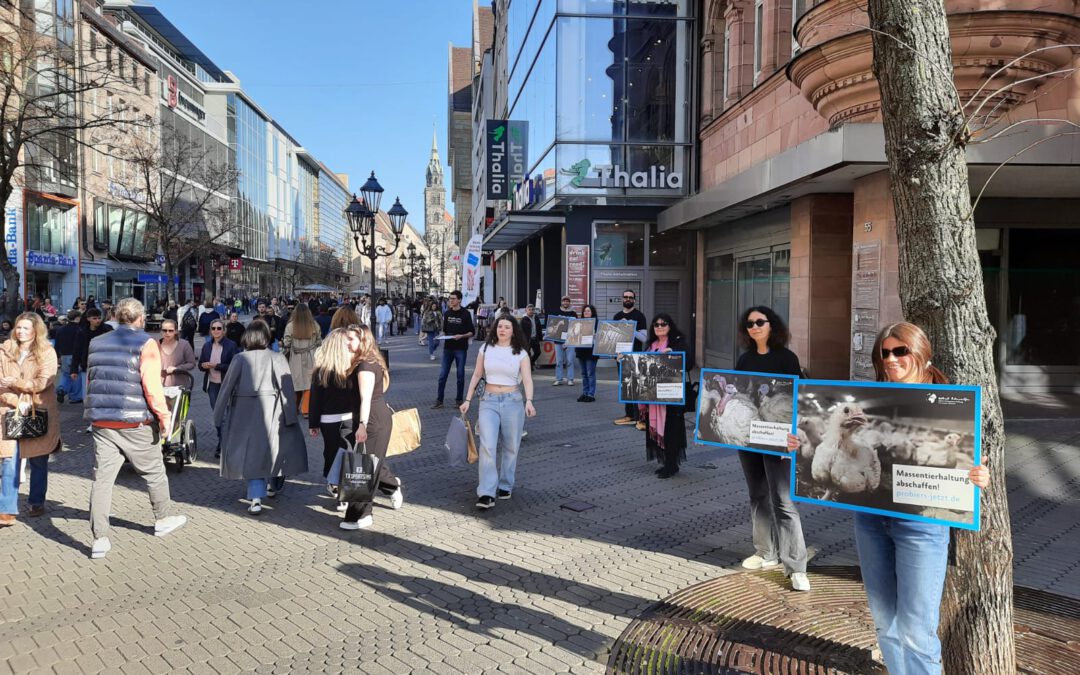Silent Line: Massentierhaltung abschaffen