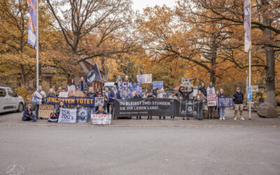 Mahnwache Tiergarten Nürnberg