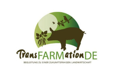 Neue Wege in der Landwirtschaft: SoLaWi