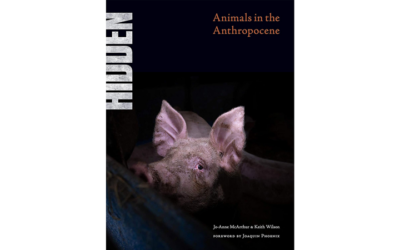 Hidden: Animals in the Anthropocene