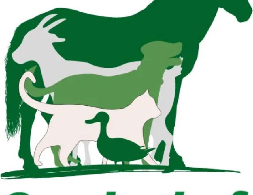 Gnadenhof Fränkische Schweiz